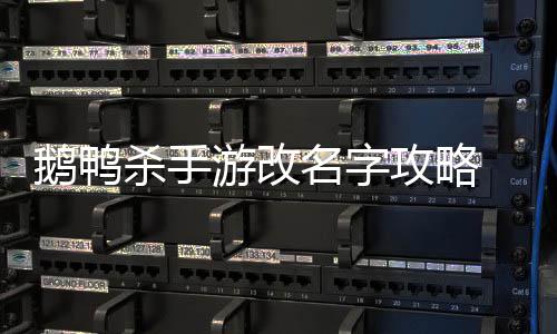 鹅鸭 鹅游改鸭杀名字怎么字杀手手游攻略改名